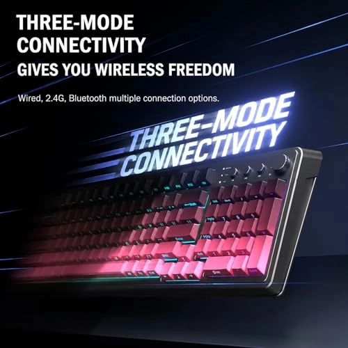 S99 - Wired/Wireless