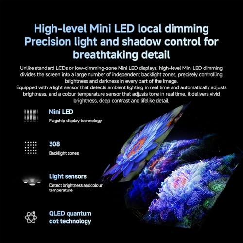 S Mini LED - 55 inch