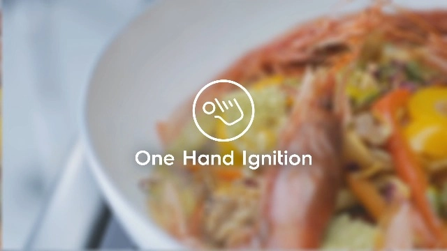 EKG913A2OX GAS Cooker