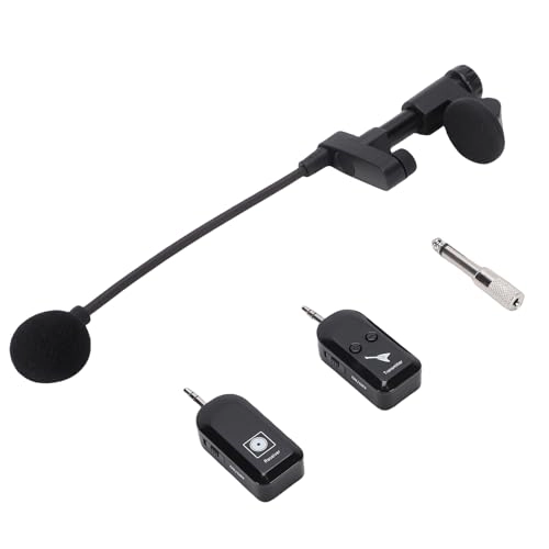 Instrument Microphone System - 1 2.4G Wireless