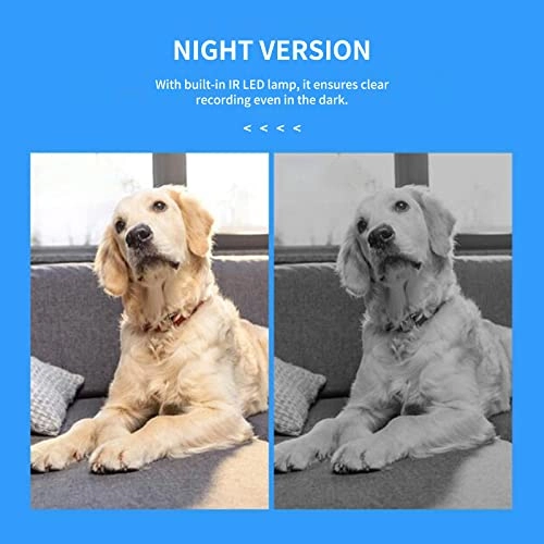 Home Security Camera 1080P