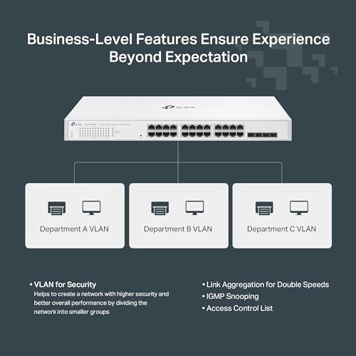 Festa FS328GP 28-ports