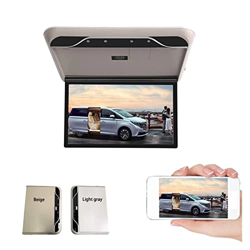 Car Ceiling Display - 19 Inch