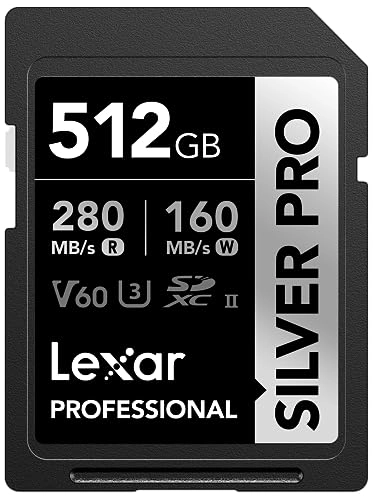 SILVER PRO SD - 512GB