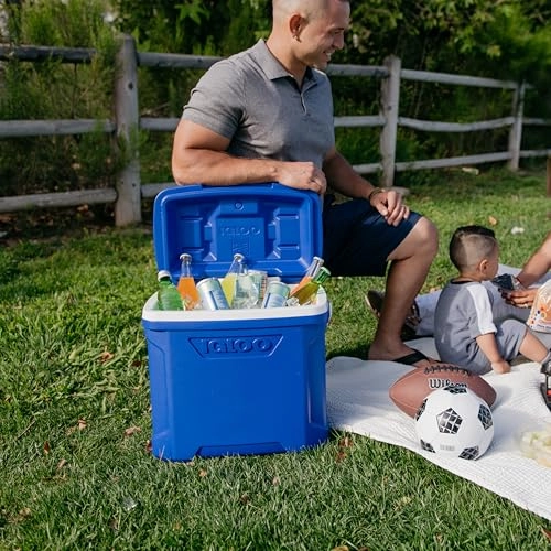 Profile Hardsided Insulated Lunch Cooler - Blue 12-16 Qt