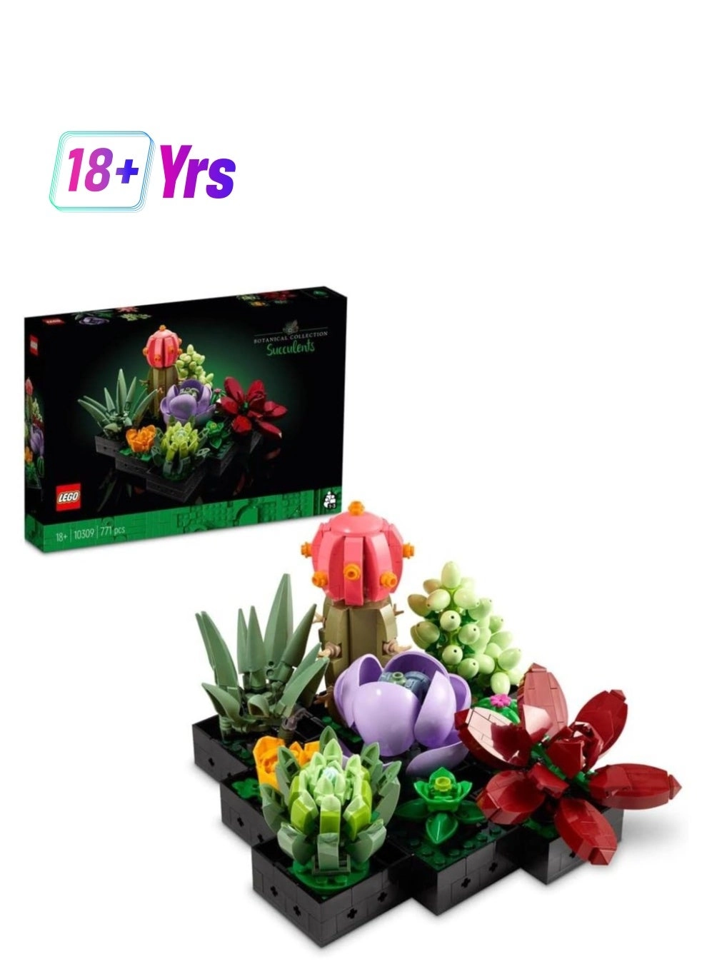 Succulents (10309) - Flowers