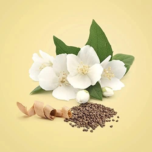 Beauty Eau de Parfum 100 ml