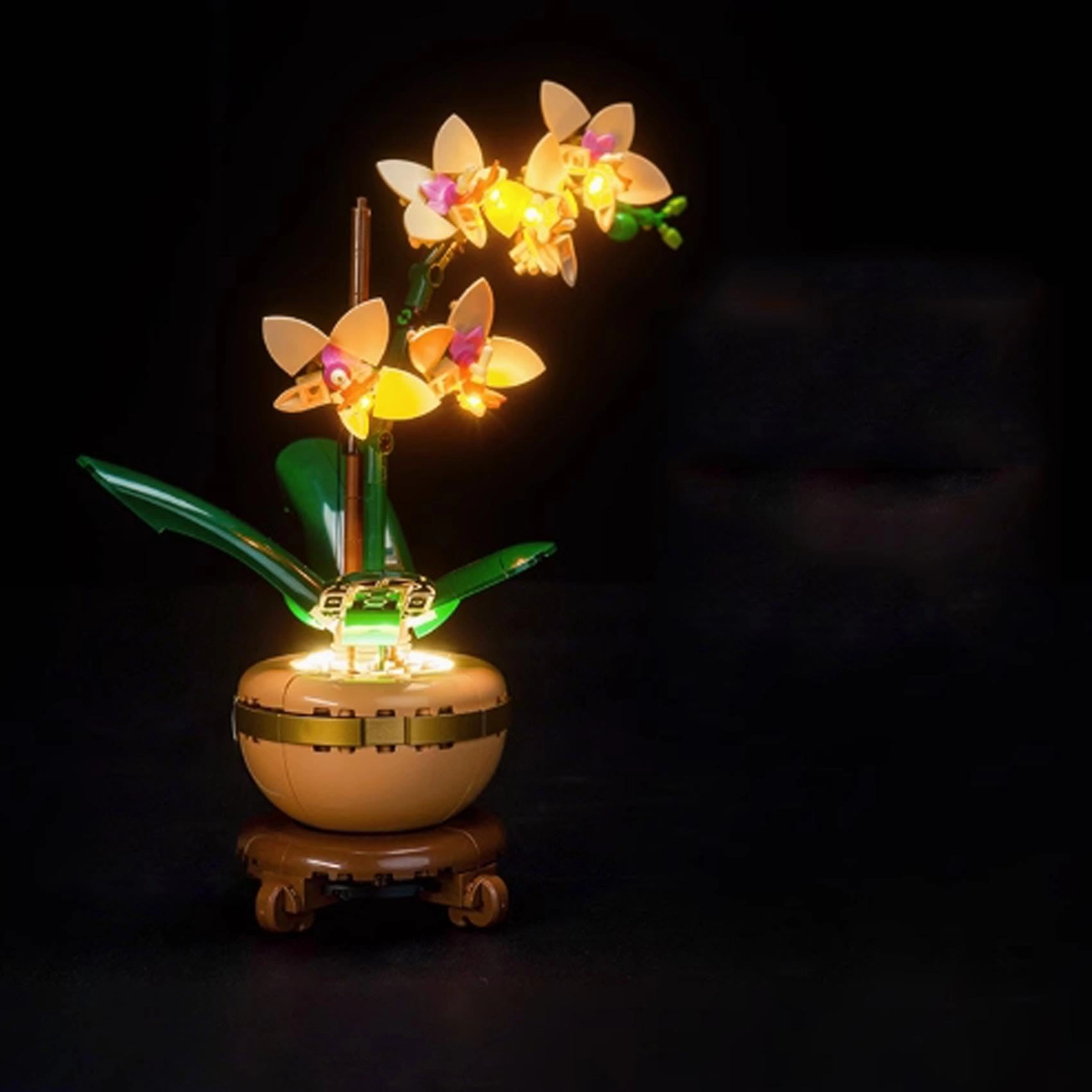 FEIFANBOYANG LED Light kit - for Lego 10343 Fortune Bamboo Model Classic