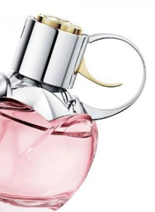 Wanted Tonic Eau de Toilette 100 ml