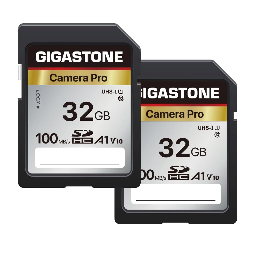 Gigastone SD Card - 32GB 2-Pack + Mini Case