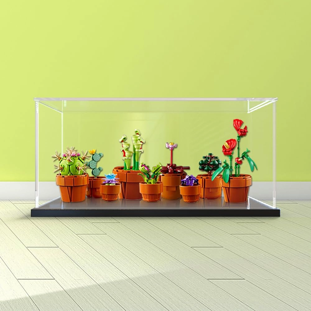 Acrylic Display Case