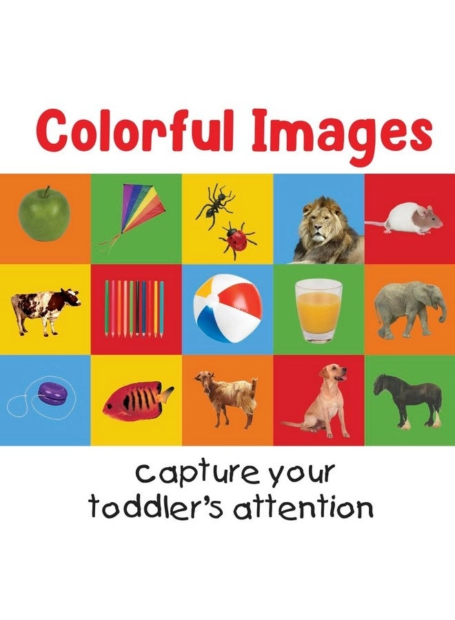 First 100 Alphabet Matching Card Game