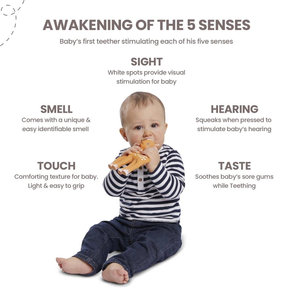 Fanfan The Fawn - 100% natural rubber