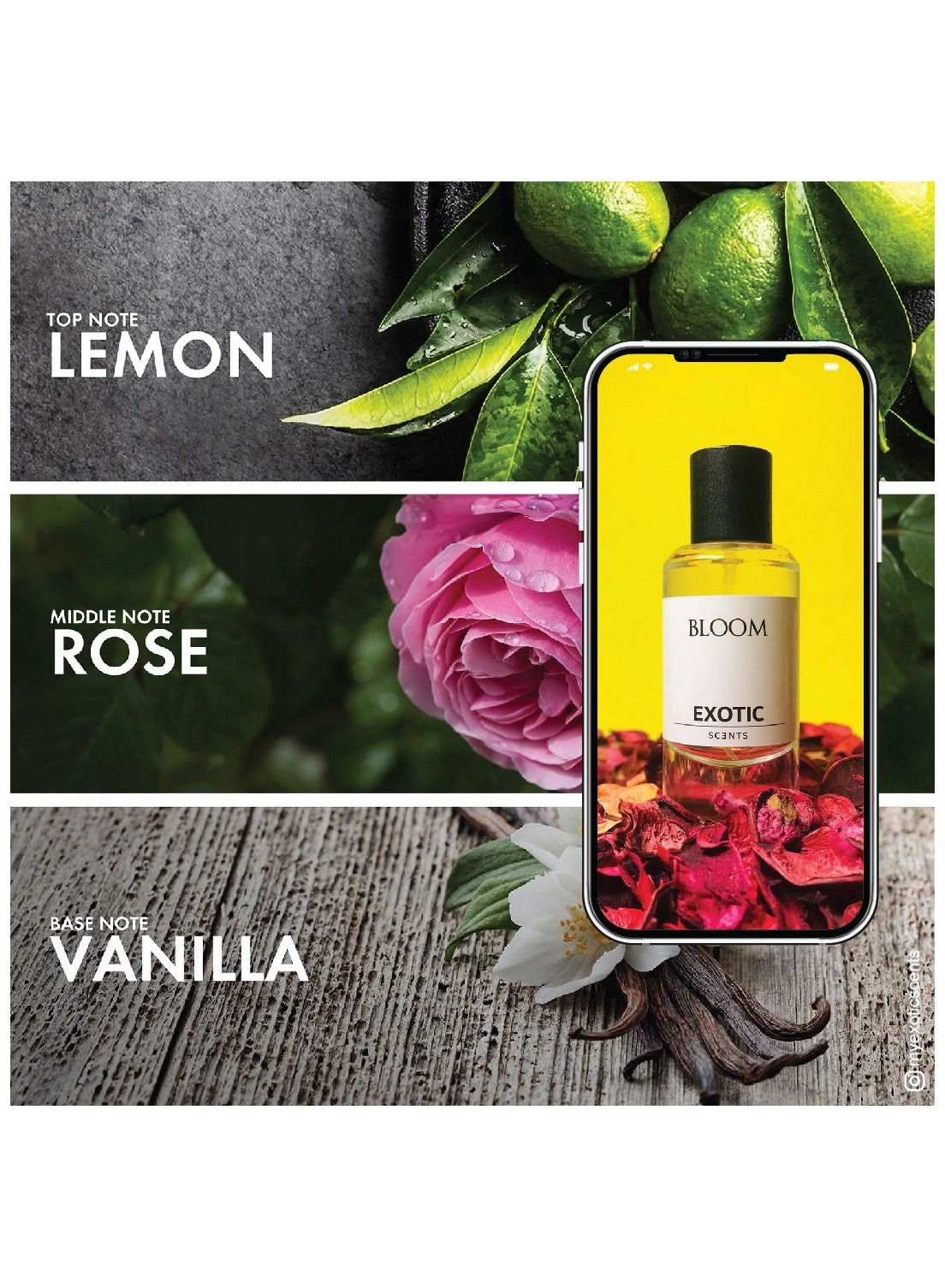 Intense - Eau de Parfum 60ml + Mist - Eau de Parfum 60ml + Bloom - Eau de Parfum 60ml
