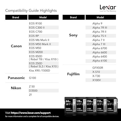 Professional 1066x SDXC - 64GB