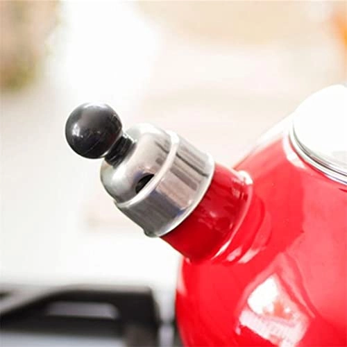 Stainless Steel Kettle - 2.5L