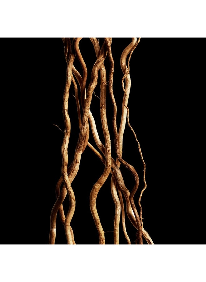 Cool Water Reborn Eau de Toilette 50ml