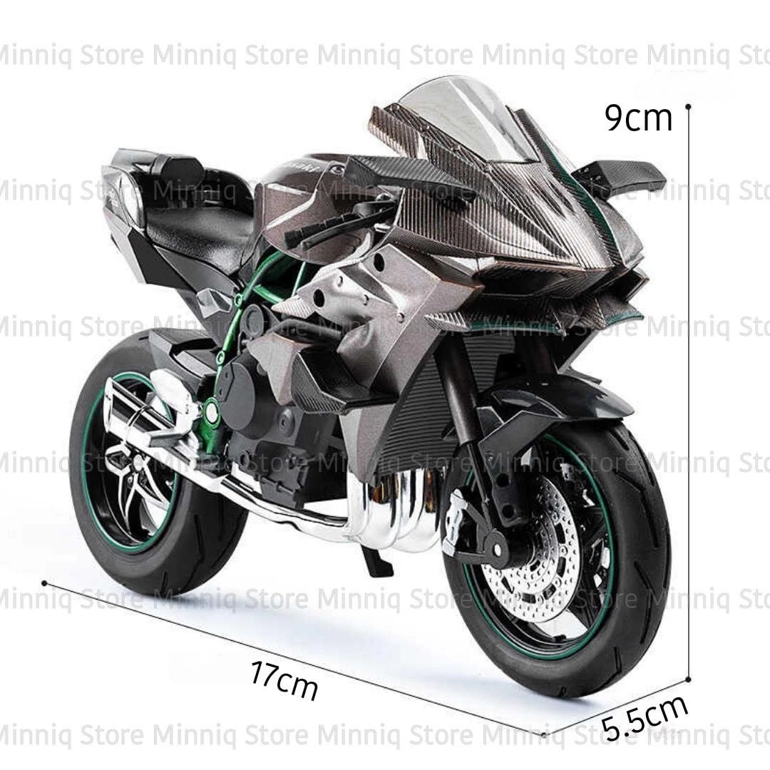 R1250GS - 1:12 1