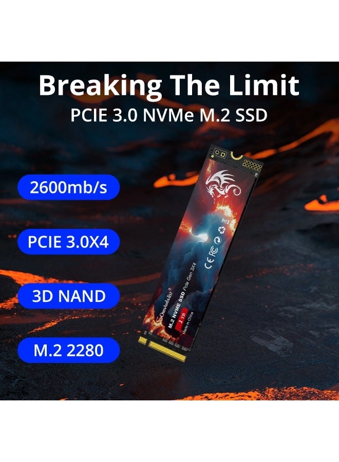 M.2 NVME 2280 - 1TB