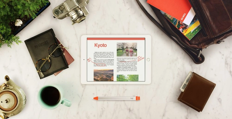 Crayon - Digital Pencil Orange iPad Compatible