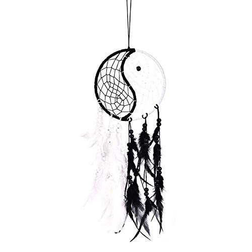 Dreamcatcher - Siderosphere, feathers, lines, wood beads.