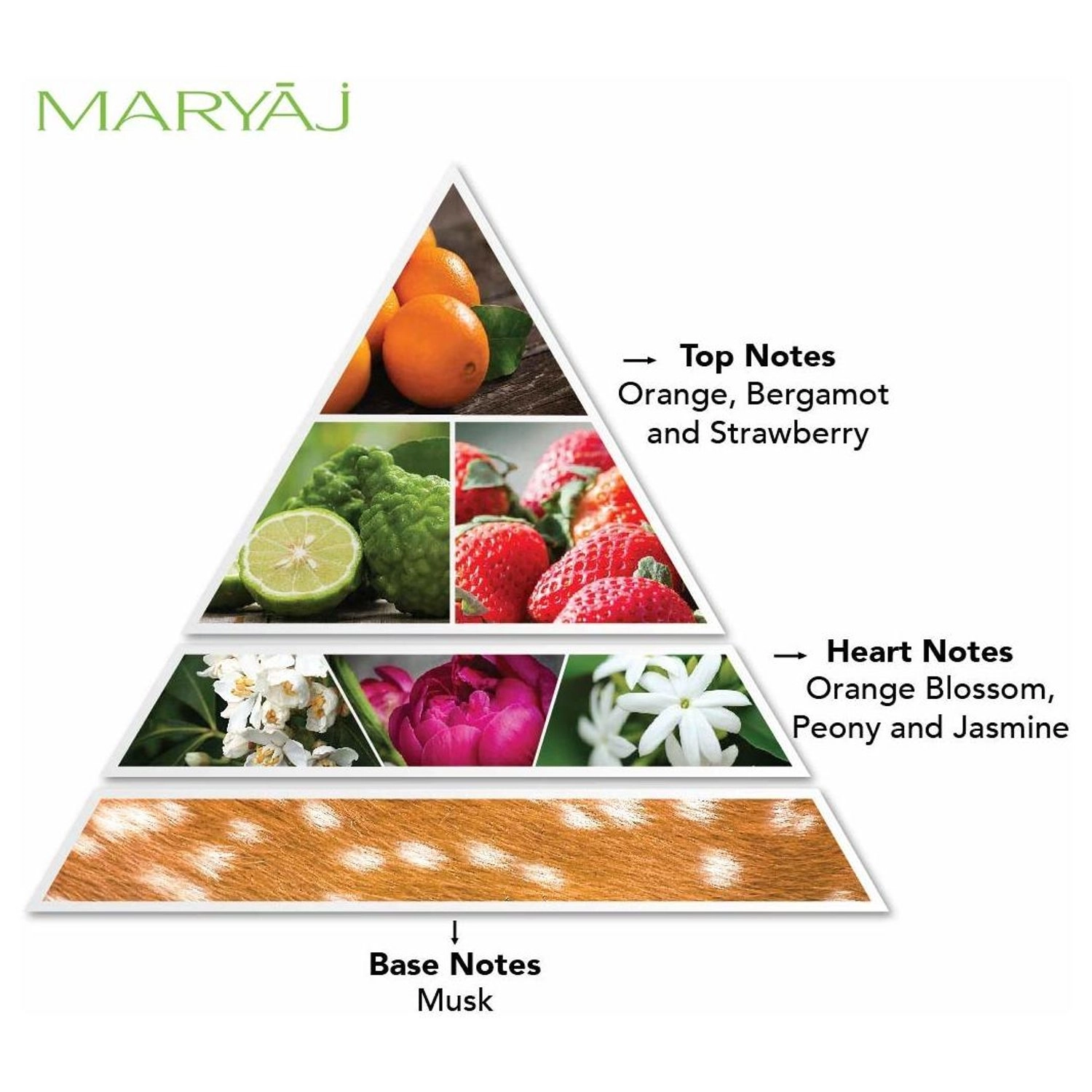 Pebble Shine Eau de Parfum 100ml