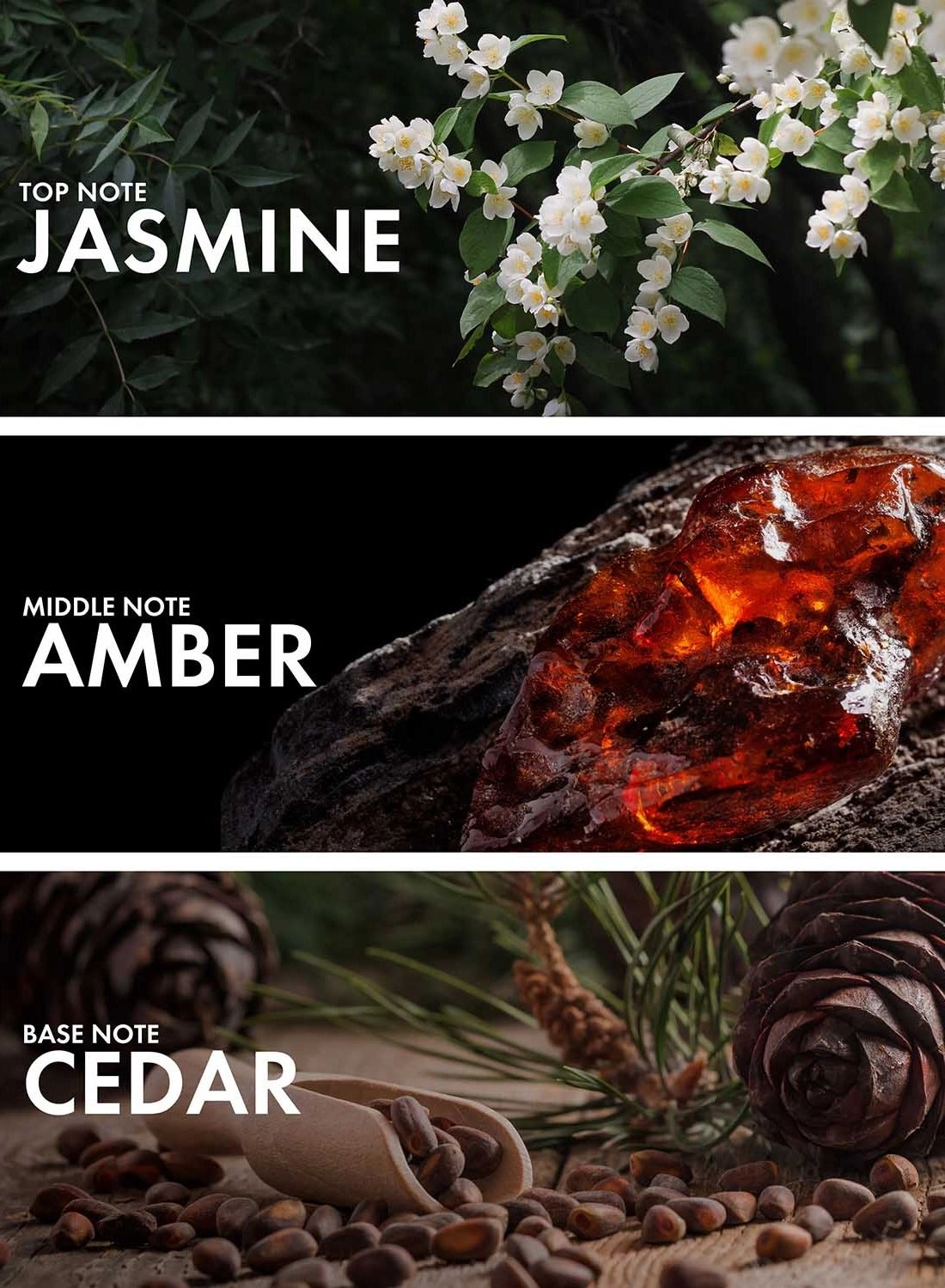 Oud Leather - Eau de Parfum 50ml