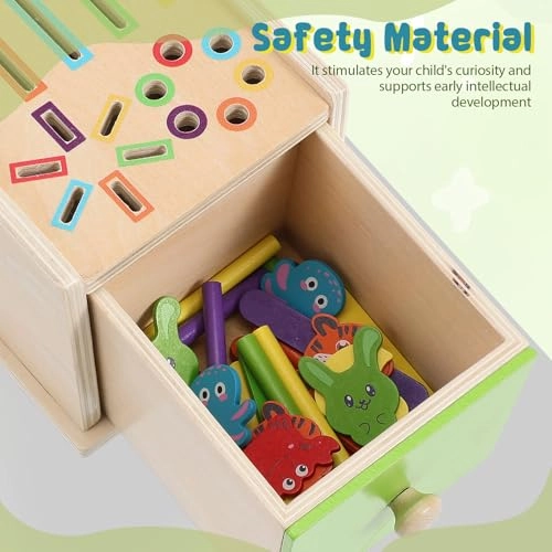 Wooden Color Matching Toy - 15 years and up