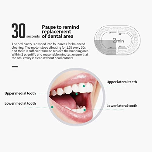 Electric Toothbrush - IPX7 4 Replacement Heads 500mAh