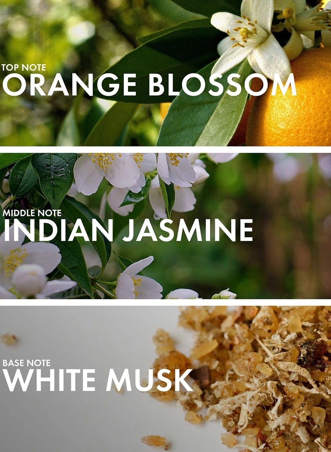 Floral Mandarin Eau de Parfum 50 ml