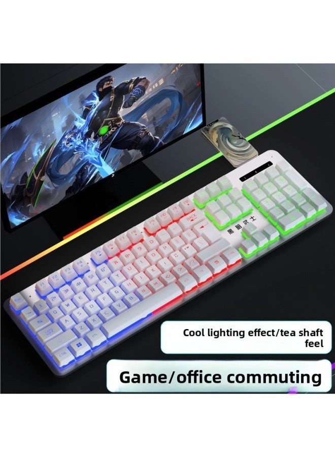 Mechanical Feel - Wired + E-sports Mouse