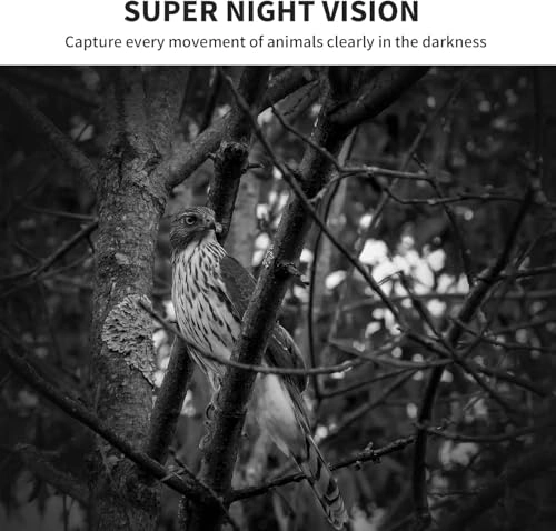 Mini Trail Camera - 24MP Pack