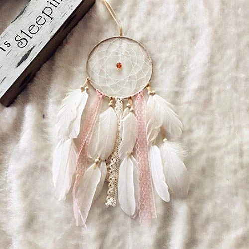 Dreamcatcher - Siderosphere, feathers, lines, wood beads.