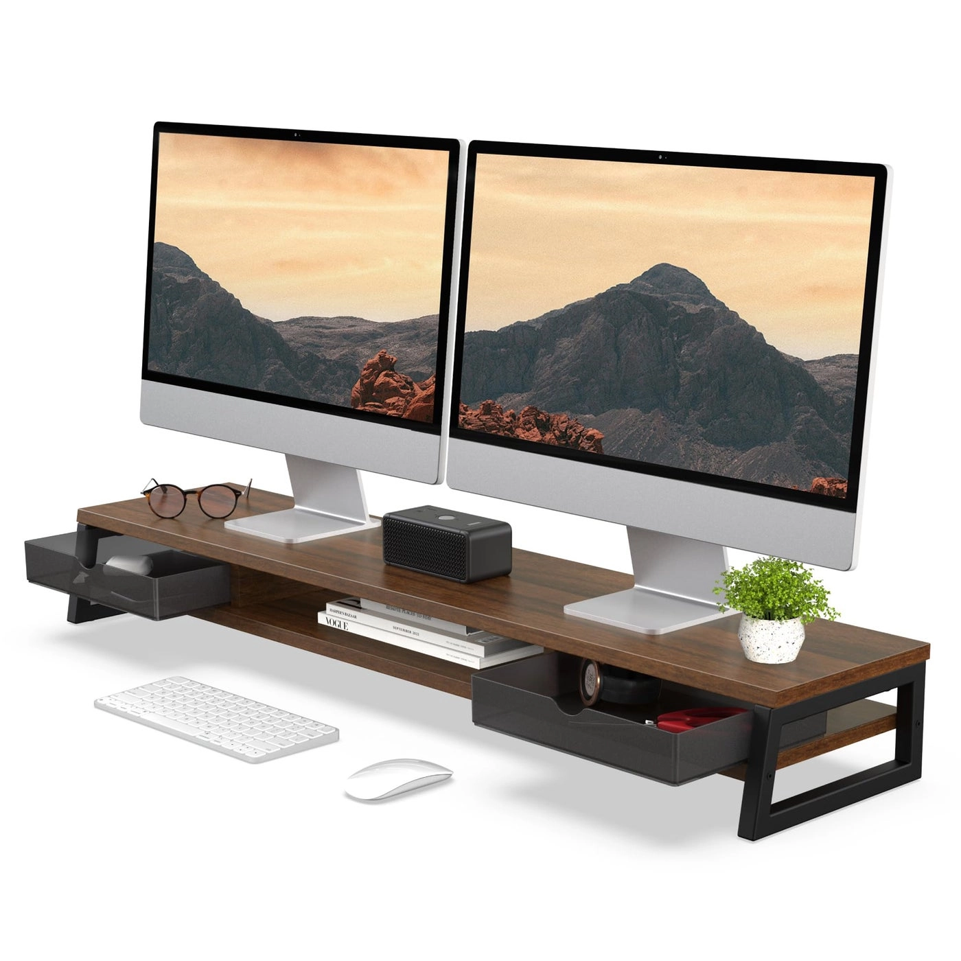 Dual Monitor Stand