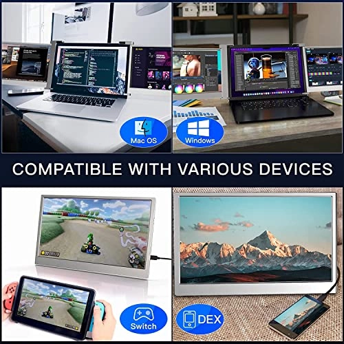 RII-2MONITOR - 14 inch 1920x1080 pixels