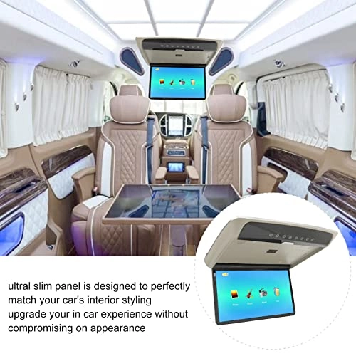Car Overhead Player - 15.6in