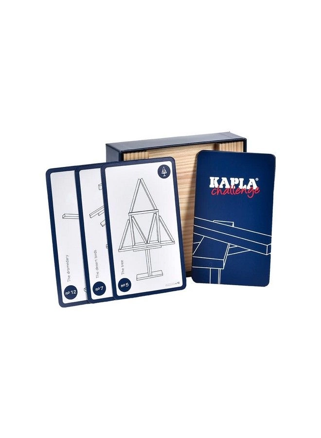 Challenge Wooden Puzzle - 16 pcs