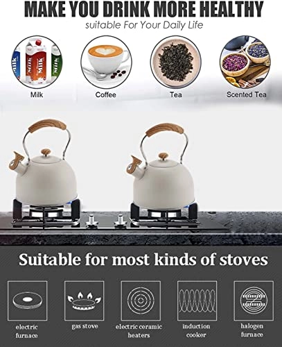 Stainless Steel Kettle - 2.5L