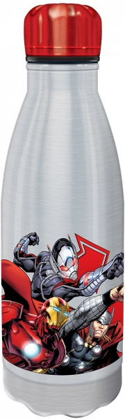 Marvel Avengers Stainless Water Bottle - 600 ml