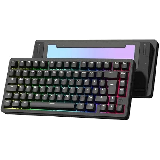 rayihni SK75 - DE Wired/Wireless