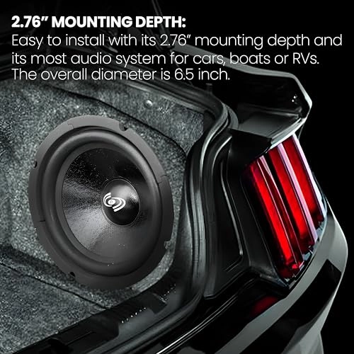 PDMR6 - 6.5" Midrange