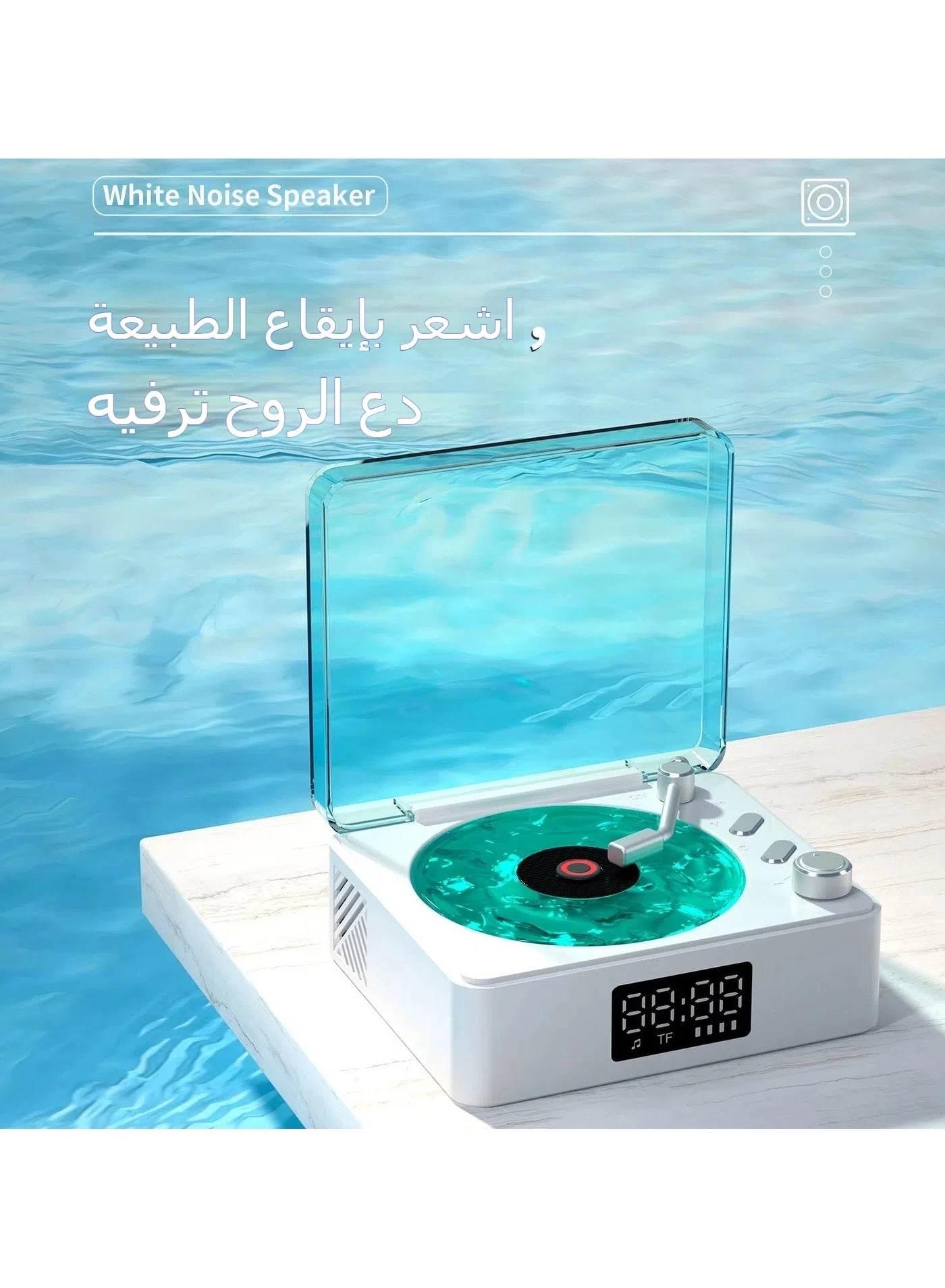 Beauenty Seashell Retro Mini