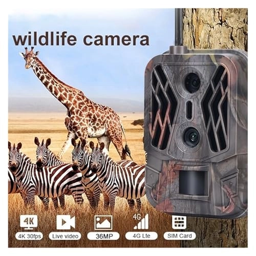 Hunting Camera Dual Lens - 5MP