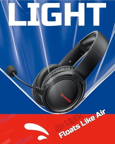 BW02-BT Wireless Headset