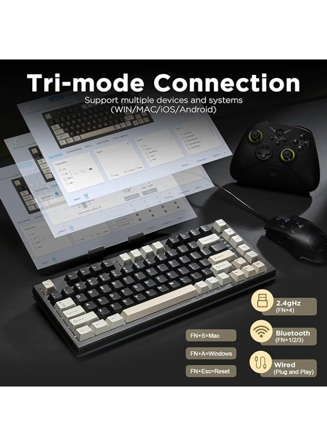 RT80 - Bluetooth/2.4GHz/Wired