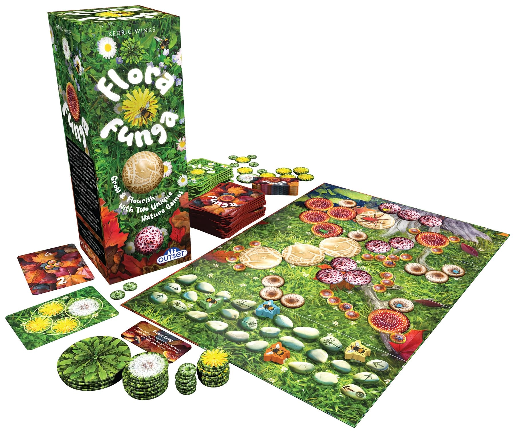 Outset Flora Funga: The Pattern Forming Game