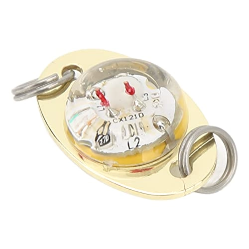 Underwater Fishing Lure Lamp - 5 Pieces Blue Light LED