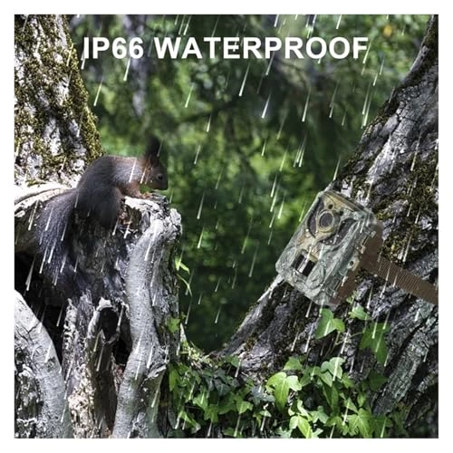 Wildlife HD Hunting Rear Camera - 16MP