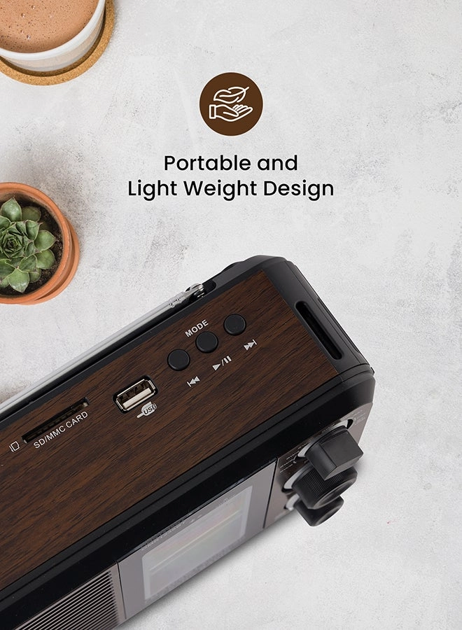FM/AM/SW Radio & Music Player - Portable