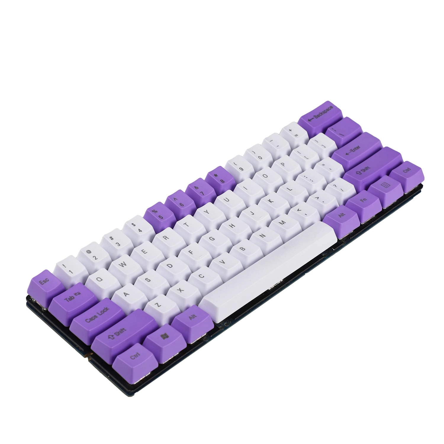 WPL wh-purp-61tp - 1 Count